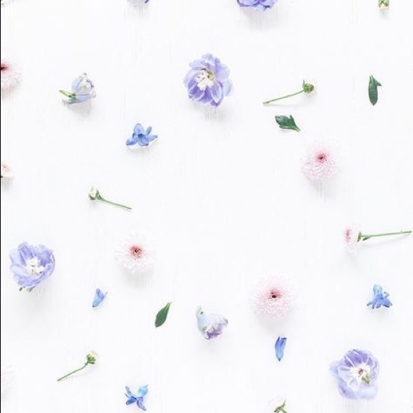 Meet your Posher, Bryce - Picture 1 of 1